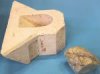 Решетный блок L=120 для C30S